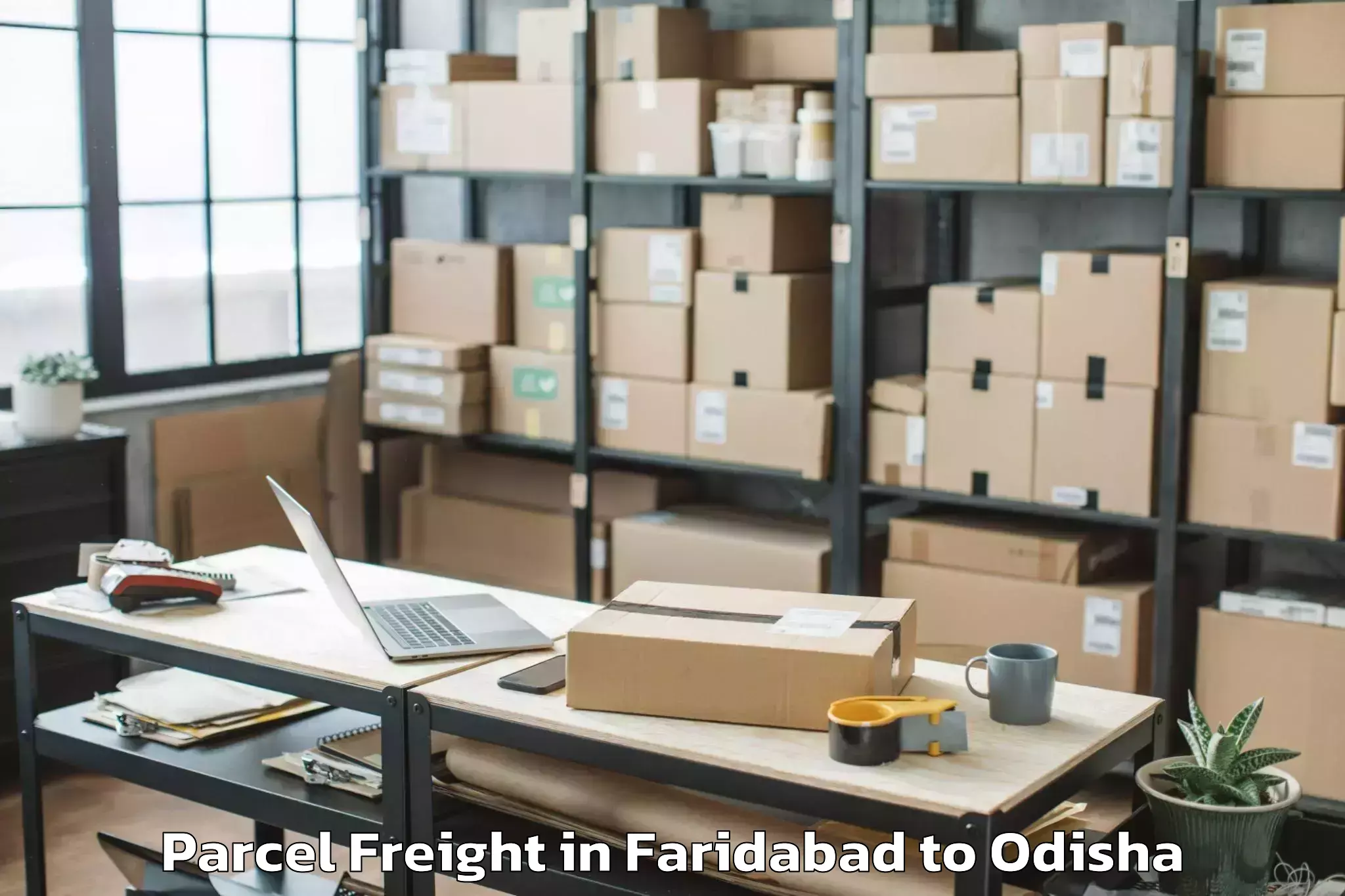 Reliable Faridabad to Dhamara Marine Parcel Freight